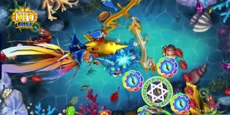 Lý do anh em nên tham gia chơi cá long thần