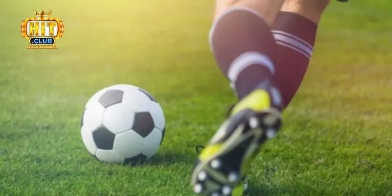 Kinh nghiệm đặt cược kèo rung bóng đá